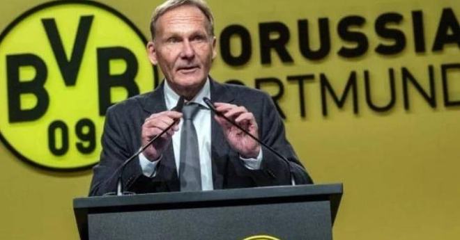 辅助从侧翼 辅助从侧翼